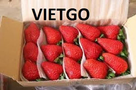 Dâu tây tươi Vietgo